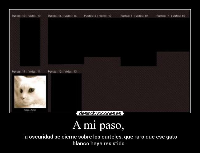 A mi paso, - la oscuridad se cierne sobre los carteles, que raro que ese gato
blanco haya resistido…