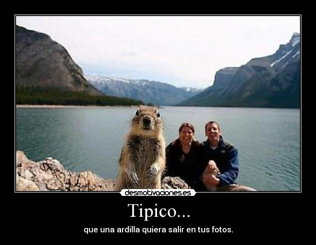 Tipico... - que una ardilla quiera salir en tus fotos.