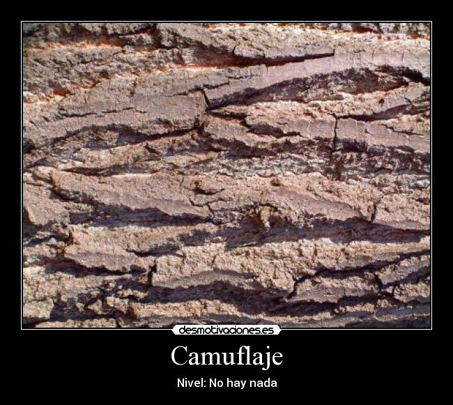 Camuflaje -