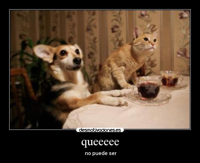 queeeee - no puede ser