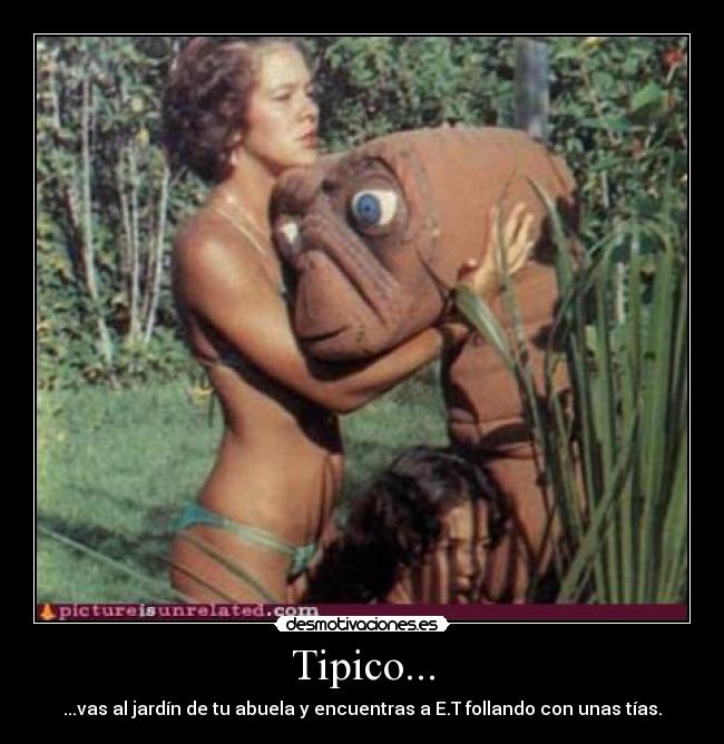 Tipico... -