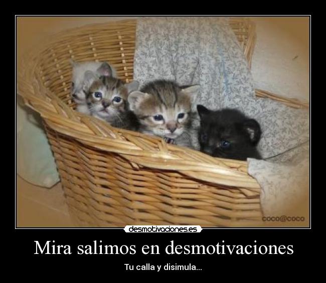 Mira salimos en desmotivaciones - 