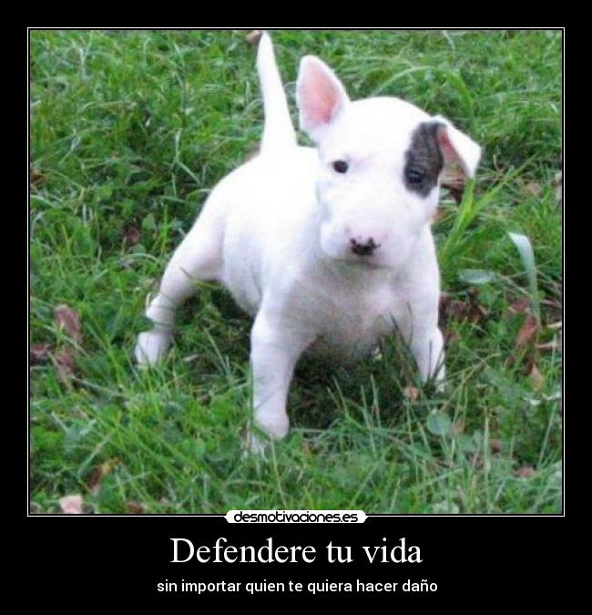 Defendere tu vida - sin importar quien te quiera hacer daño