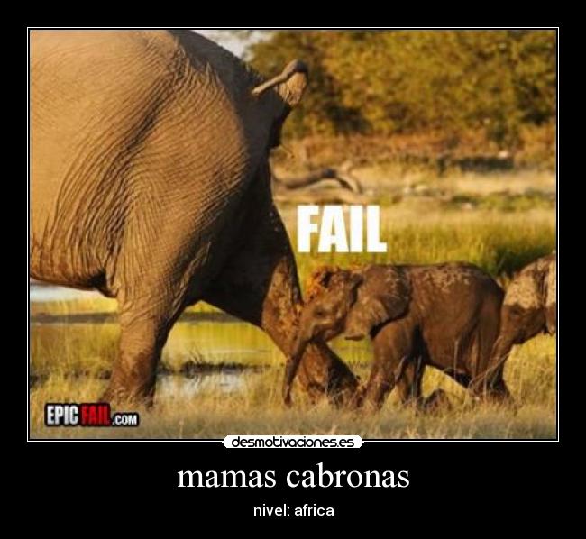 mamas cabronas - nivel: africa