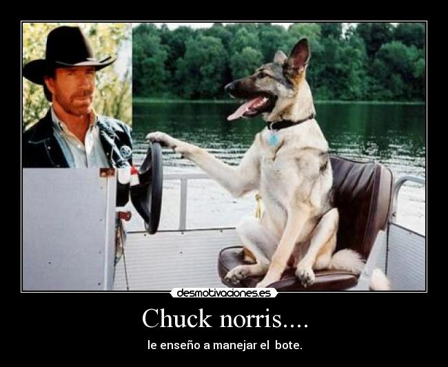 Chuck norris.... - le enseño a manejar el  bote.