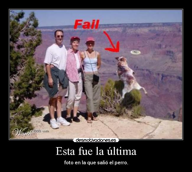 Esta fue la última - foto en la que salió el perro.