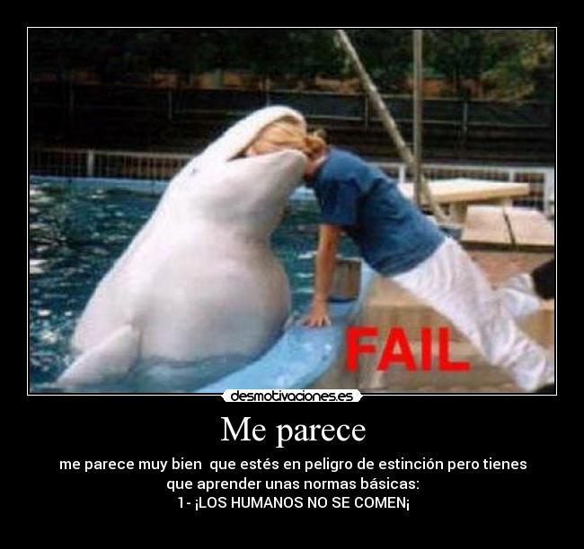 Me parece - 