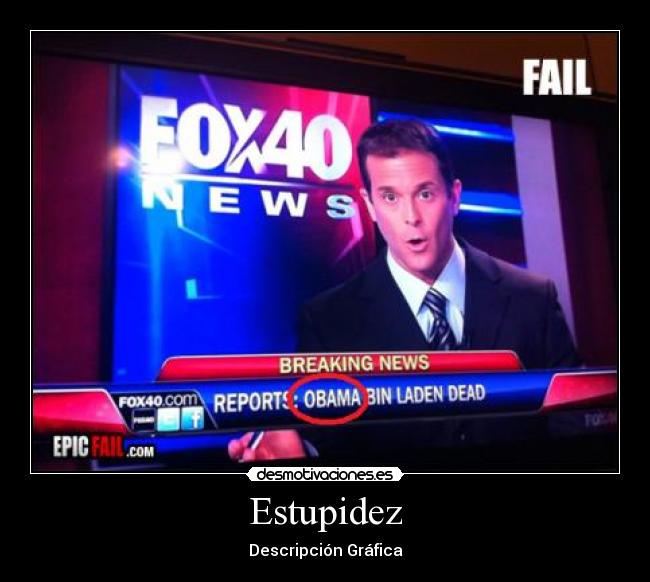 Estupidez -