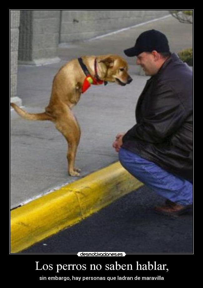 Los perros no saben hablar, - sin embargo, hay personas que ladran de maravilla