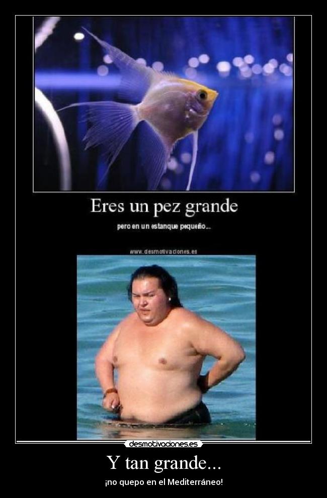 Y tan grande... - ¡no quepo en el Mediterráneo!