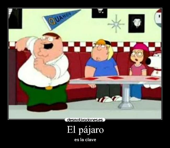 El pájaro - es la clave