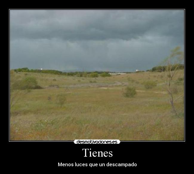 carteles pitagoras desmotivaciones