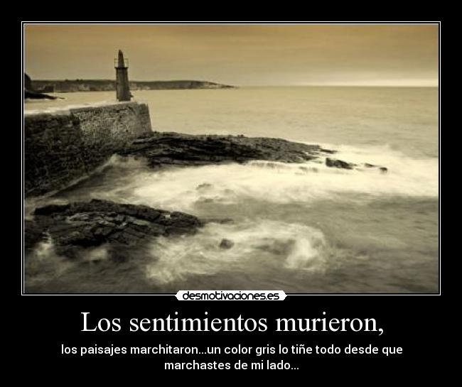 Los sentimientos murieron, - 