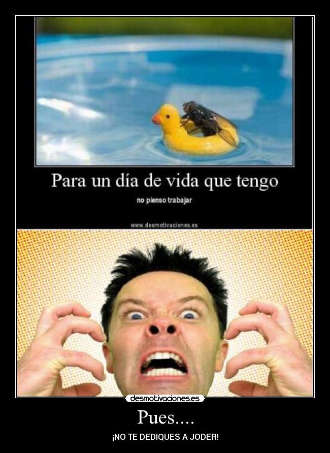 Pues.... - ¡NO TE DEDIQUES A JODER!
