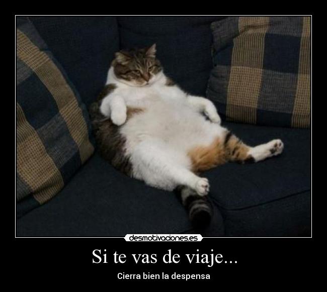 Si te vas de viaje... - Cierra bien la despensa
