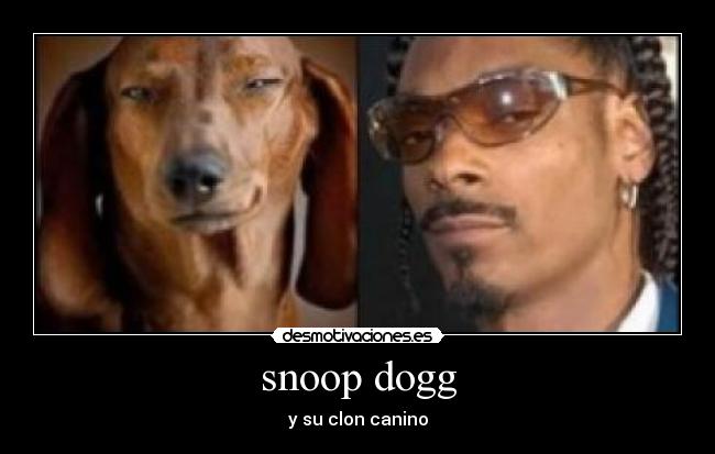 snoop dogg - 