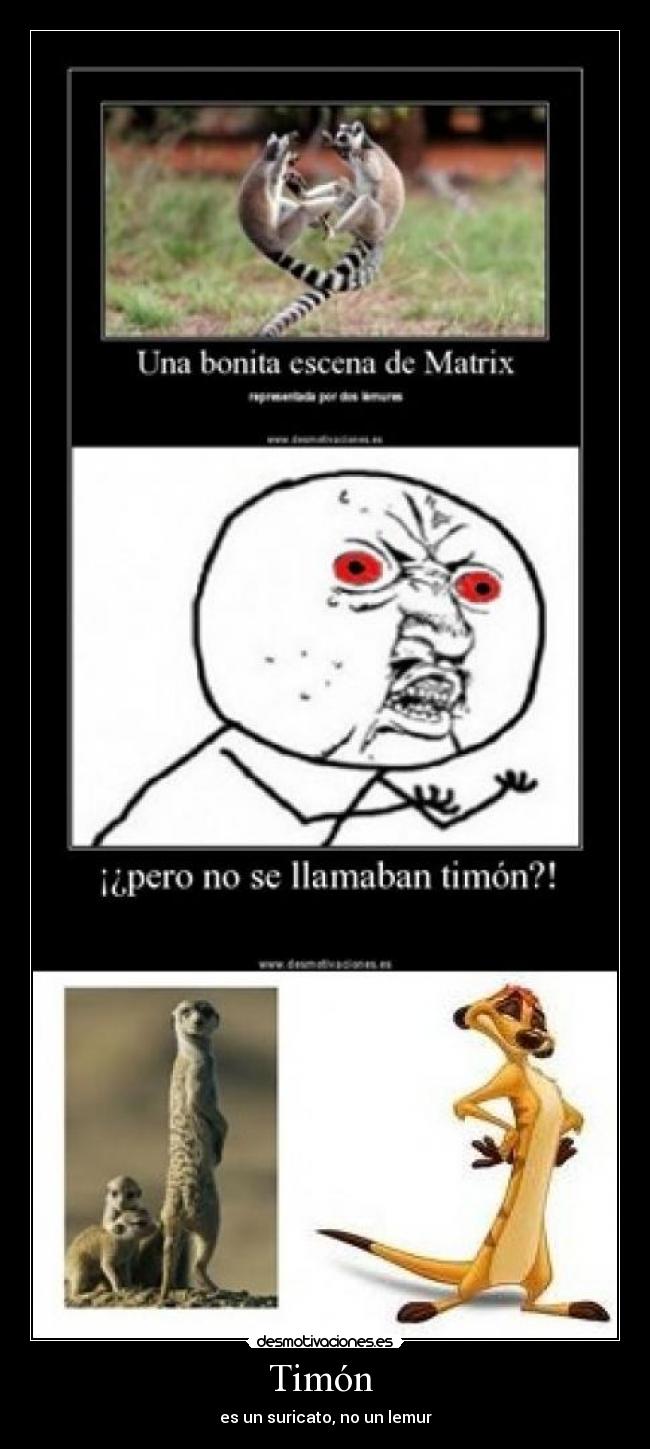 carteles timon suricato lemur desmotivaciones