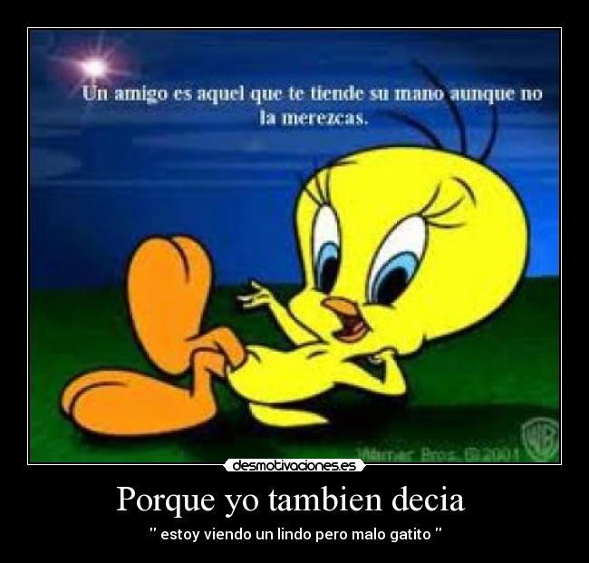 Porque yo tambien decia - estoy viendo un lindo pero malo gatito