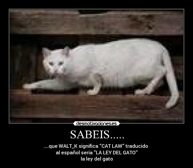 SABEIS..... - ....que WALT_K significa CAT LAW traducido 
al español seria LA LEY DEL GATO
la ley del gato