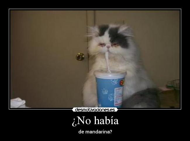 ¿No había - de mandarina?