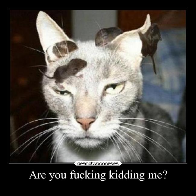 Are you fucking kidding me? - 