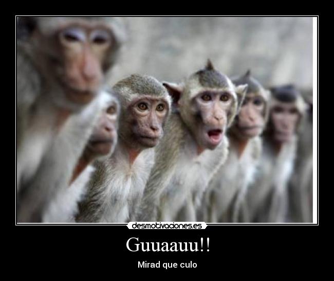 Guuaauu!! -