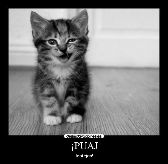 ¡PUAJ - 