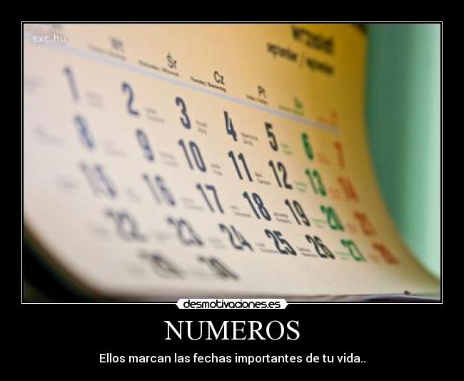 NUMEROS - Ellos marcan las fechas importantes de tu vida..