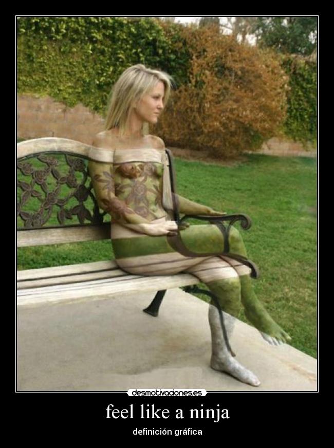 feel like a ninja - definición gráfica