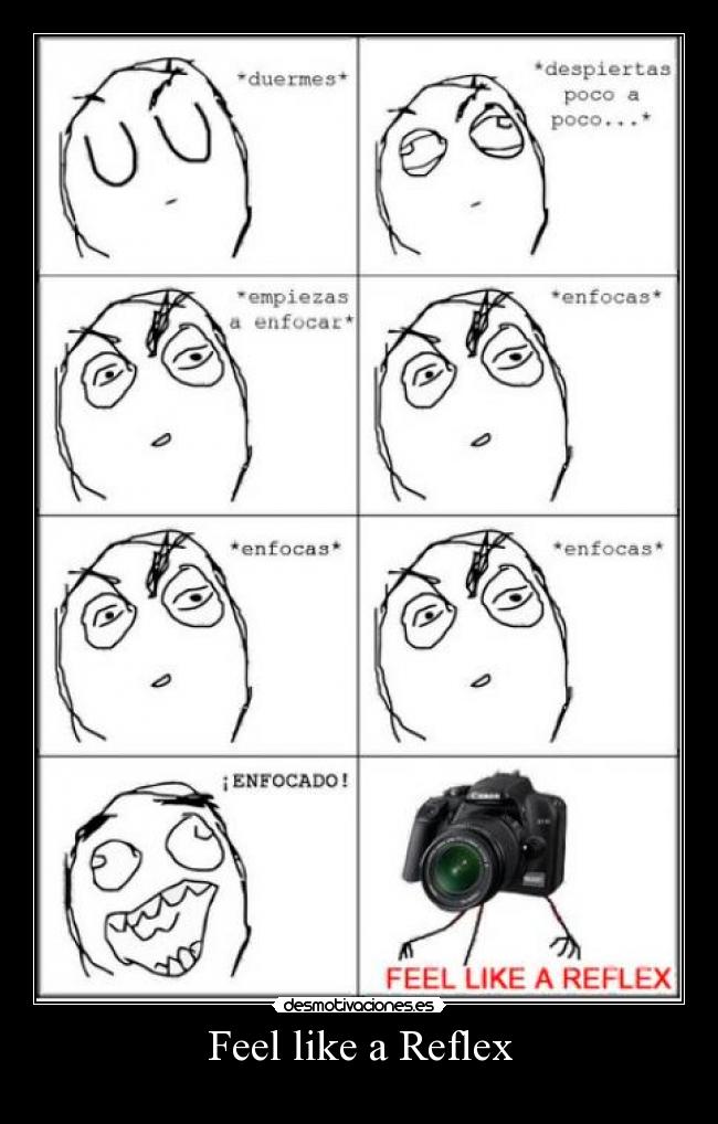 Feel like a Reflex -