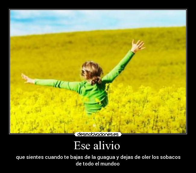 carteles tipico desmotivaciones