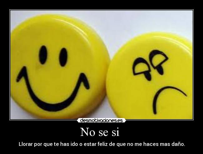 No se si - Llorar por que te has ido o estar feliz de que no me haces mas daño.