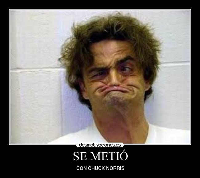 carteles boboblooper desmotivaciones