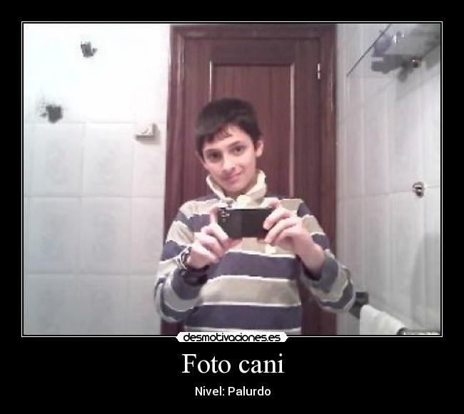 Foto cani - 