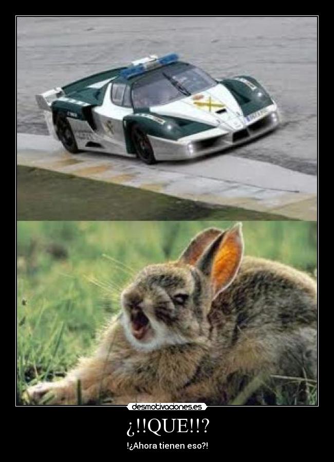 ¿!!QUE!!? -