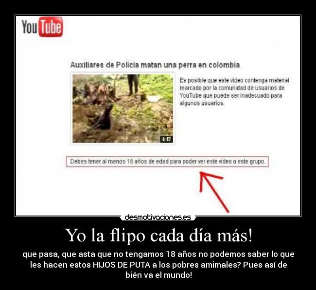 Yo la flipo cada día más! - que pasa, que asta que no tengamos 18 años no podemos saber lo que
les hacen estos HIJOS DE PUTA a los pobres amimales? Pues así de
bién va el mundo!