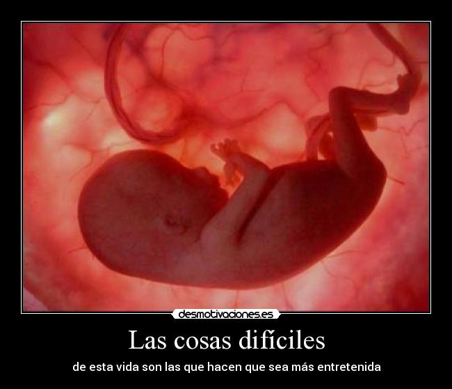 Las cosas difíciles - de esta vida son las que hacen que sea más entretenida