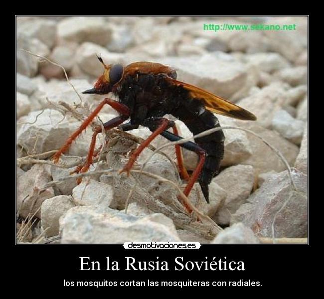 En la Rusia Soviética -