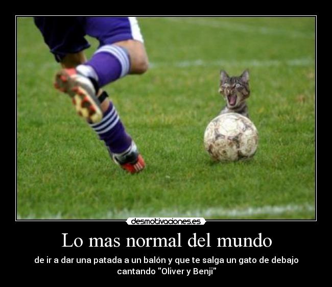 Lo mas normal del mundo - 