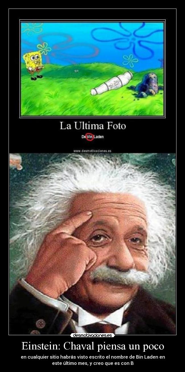 carteles einstein desmotivaciones