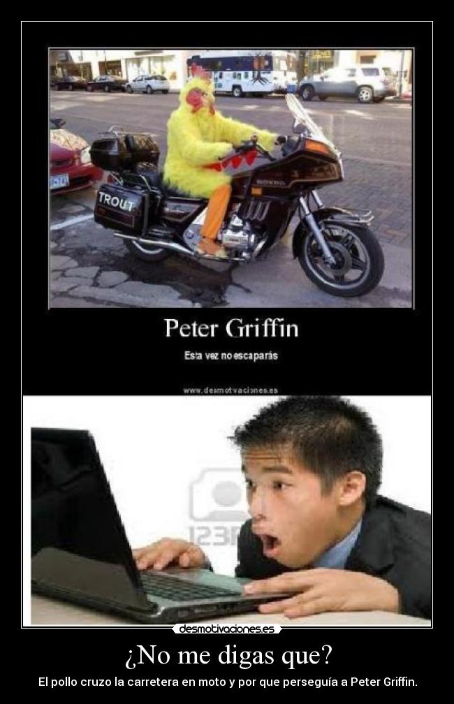 ¿No me digas que? - El pollo cruzo la carretera en moto y por que perseguía a Peter Griffin.