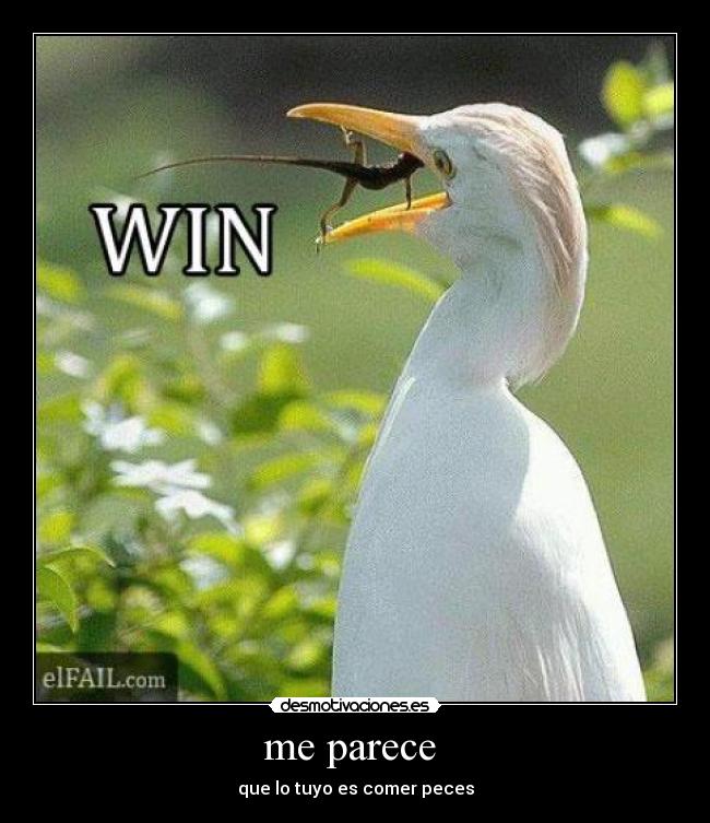 me parece - que lo tuyo es comer peces