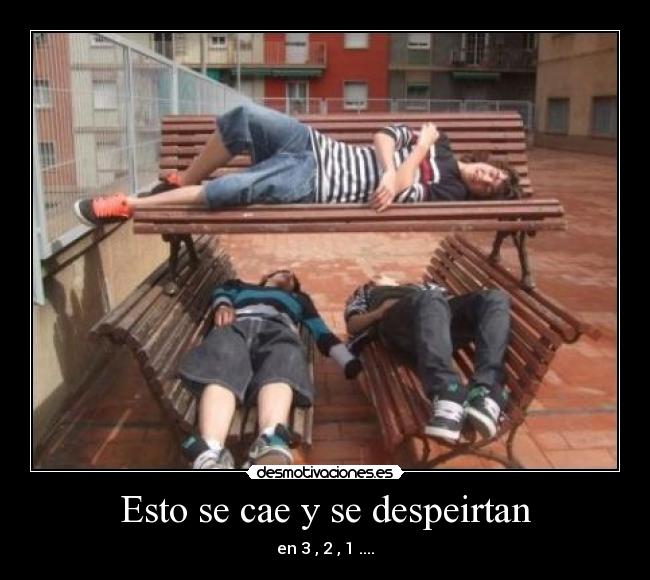 Esto se cae y se despeirtan - 