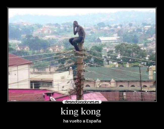 king kong  - 