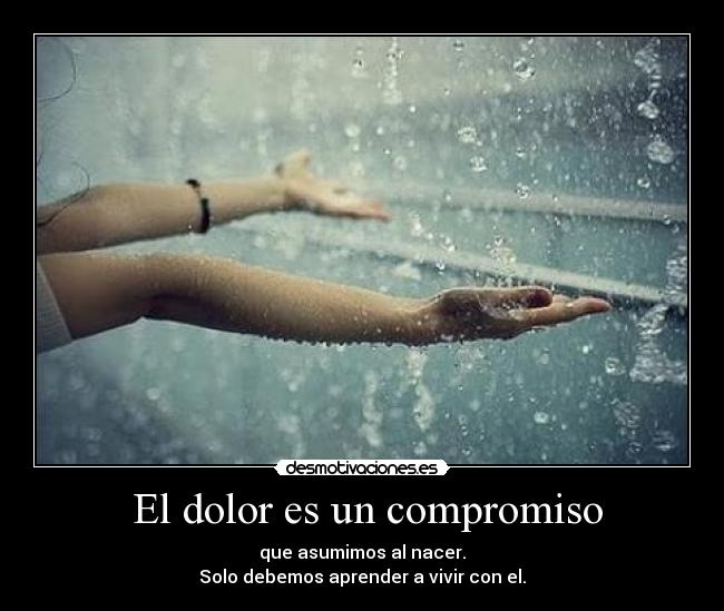  El dolor es un compromiso - 