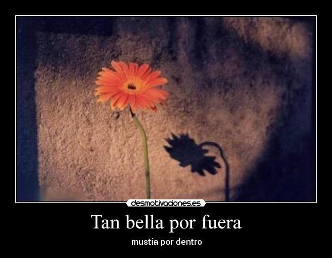 Tan bella por fuera -