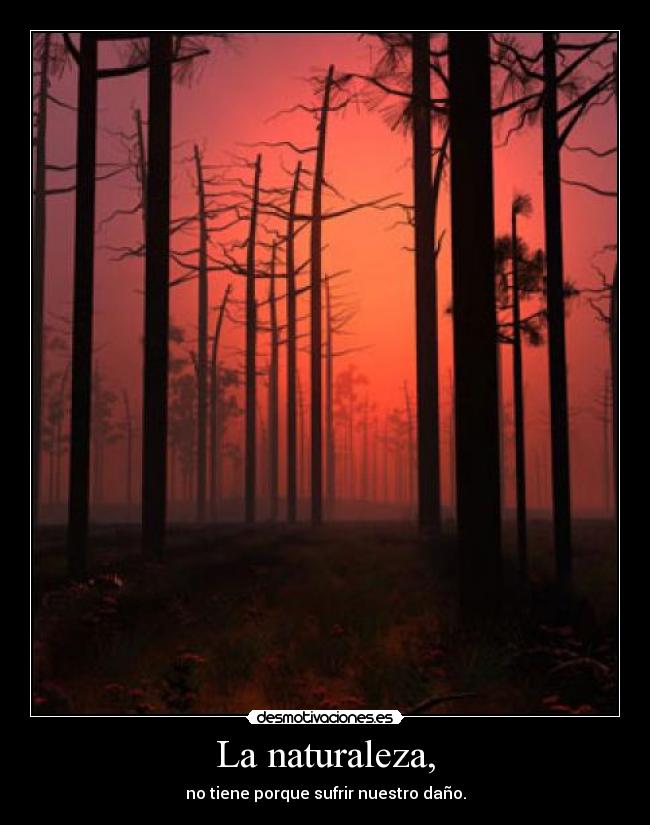 La naturaleza, - 