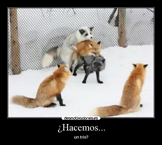 ¿Hacemos... - un trio?