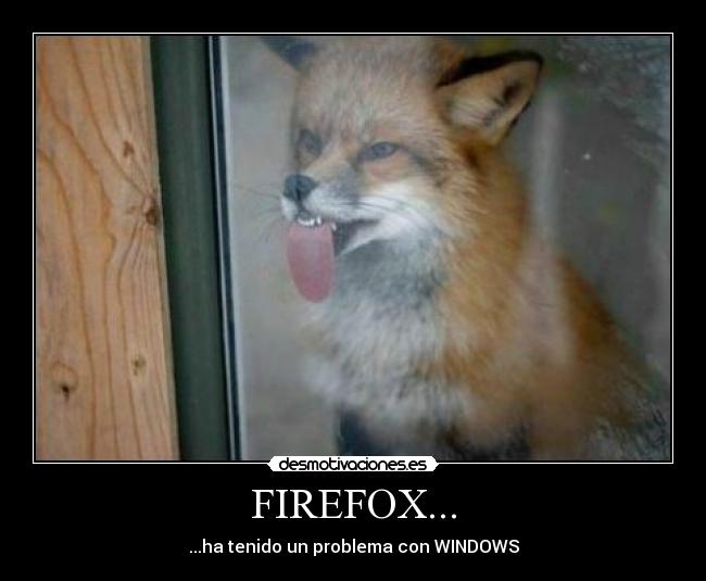 FIREFOX... - ...ha tenido un problema con WINDOWS