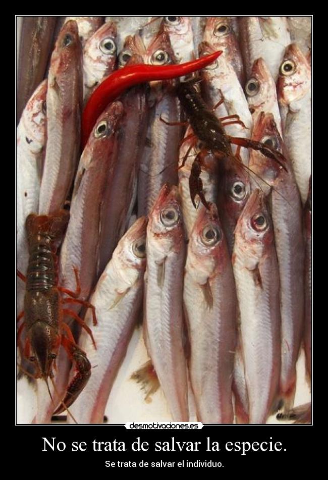 No se trata de salvar la especie. -